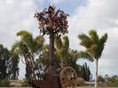 משה דבש - פיסול חוצות |          Outdoor sculpture